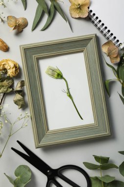 Taze ve kuru bitkiler, fotoğraf çerçevesi, makas ve arka planda not defteri, üst görünüm