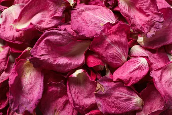 Lots of pink dried rose petals, top view