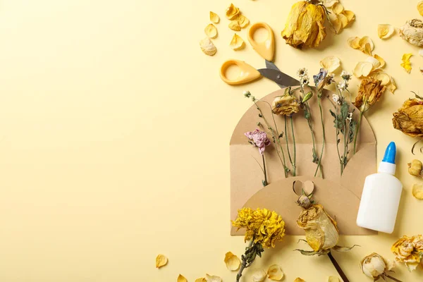 Set of dried flowers in envelope, dried roses, scissors and glue on beige background, space for text