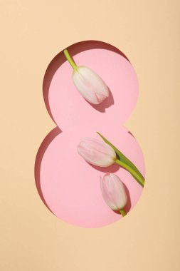 Kağıt sekizinci kesiği taze tjuspans ile kesiyor.