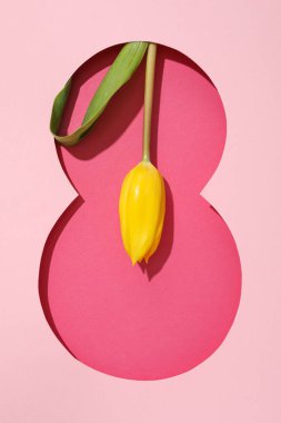 Kağıt sekizinci kesiği taze tjuspans ile kesiyor.