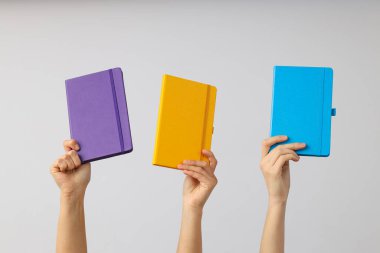 Ofis kağıtları kadınların elinde..