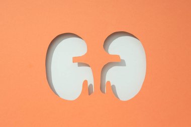 Ulusal Böbrek Ayı için kağıt şeftali arka planında böbrekleri kesiyor..