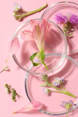 Bitkisel tıp, bitkisel tıp araştırması konsepti