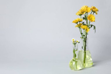 Test tüpleri ve çiçekler, bitkisel ilaçlar, bitkisel tıp araştırmaları.