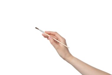 PNG, kadın el fırçası, beyaz arka planda izole edilmiş.