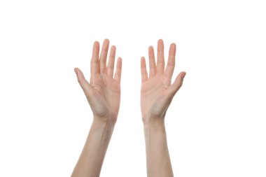 PNG, kadın avuçları, beyaz arka planda izole edilmiş.