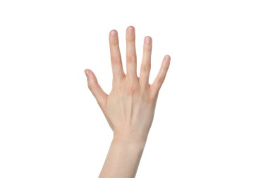 PNG, kadın eli, beyaz arka planda izole edilmiş.