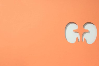 Ulusal Böbrek Ayı için kağıt şeftali arka planında böbrekleri kesiyor..