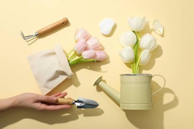 Bahçıvanlık aletleri, laleler çantada ve sulama tenekeleri arka planda, üst görünümde.