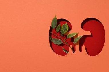 Ulusal Böbrek Ayı için kağıt şeftali arka planında böbrekleri kesiyor..