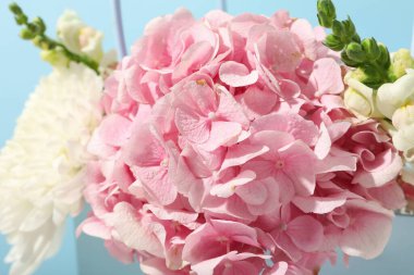 Güzel, mavi arka planda taze çiçekler.