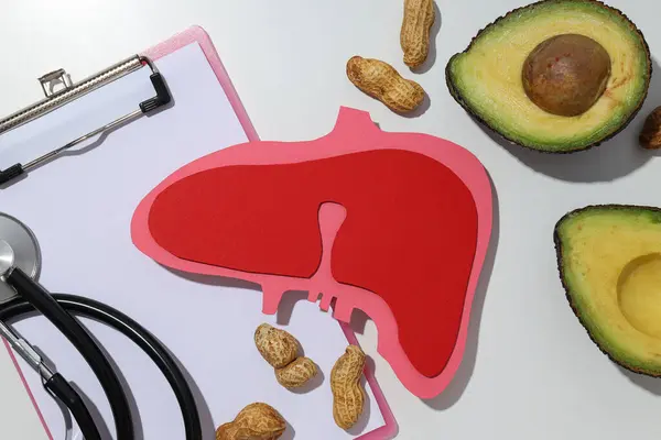 Beyaz arka planda karaciğer, avokado ve klasörün kağıt modeli, üst görünüm