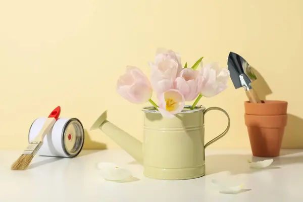 Garden supplies, tulips and can of paint on light background