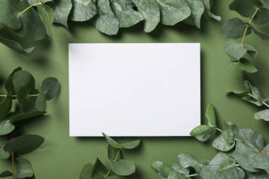 Yeşil arka planda yapraklı yaprak.