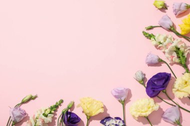 Güzel, pembe çiçekler beyaz arka planda.