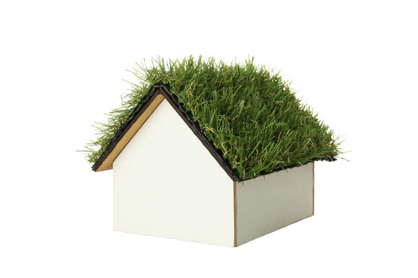 PNG,Decorative house with moss on the roof, isolated on white background