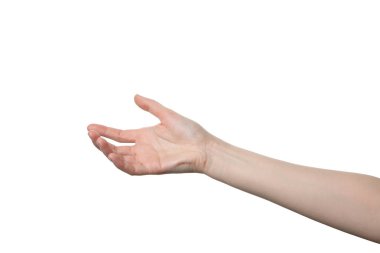 PNG, kadın eli, beyaz arka planda izole edilmiş.