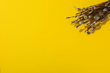 Bahar tatili - Paskalya, söğütle Paskalya konsepti