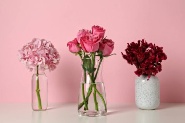 Pembe arka planda güzel, taze çiçekler..