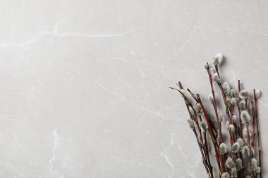 Bahar tatili - Paskalya, söğütle Paskalya konsepti