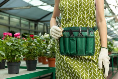 Bitki bakımı, sulama, budama, kabartma için aletler. Bel kapağında..