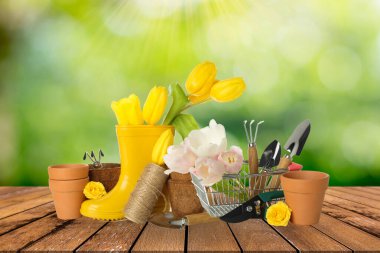 Tarım ve bahçıvanlık, tarımcılık ve bahçıvanlık için tasarladığınız resim.