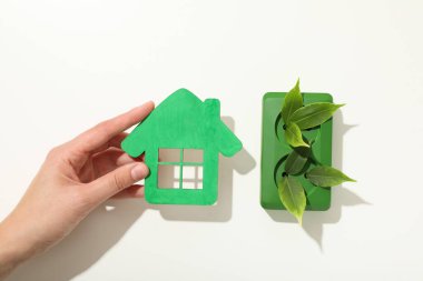 Eko ev konsepti, yapraklı yeşil gül.