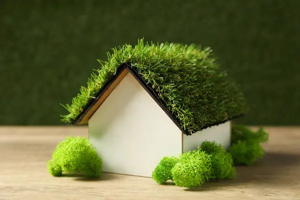 Decorative house with moss on the roof, the concept of an eco house