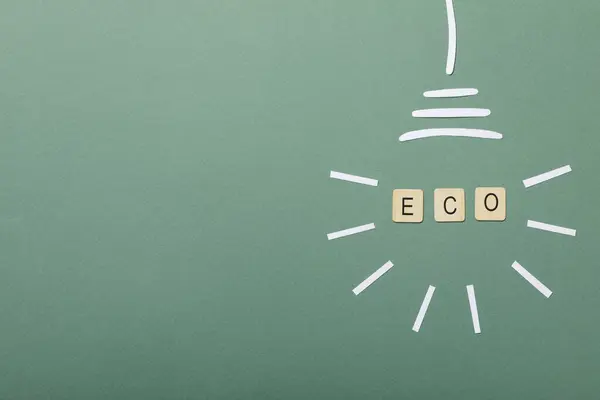 The concept of an eco house, a decorative light bulb with the word eco