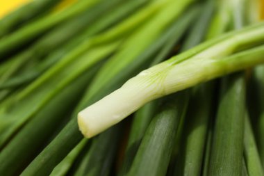 Taze soğan, taze sebze konsepti, taze çiğ yiyecek.