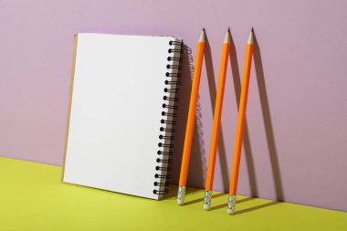 Kalemler ve arka planda boş bir defter..