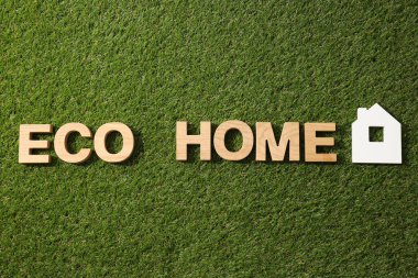 Ekolojik ev kavramı, çimlerin üzerinde bir ev..