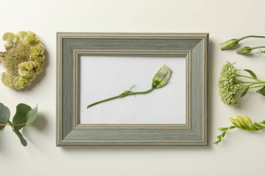 Fotoğraf çerçevesi ve açık arkaplanda taze çiçekler, üst manzara