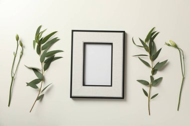 Beyaz arka planda taze bitkiler ve ahşap fotoğraf çerçevesi, üst görünüm