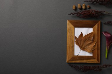 Gri arkaplanda kurumuş bitkiler ve ahşap fotoğraf çerçevesi, metin için boşluk