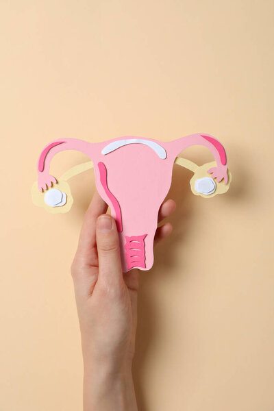 Paper uterus in female hand on beige background, top view