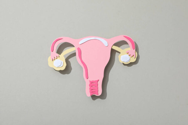 Paper uterus on gray background, top view