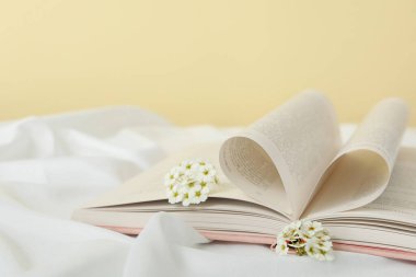 Hafif arka planda çiçekli kitapların estetiği.