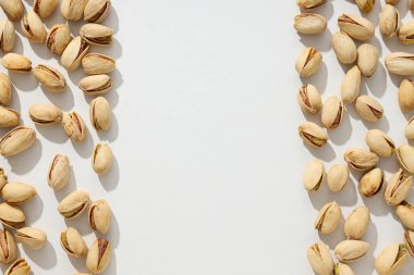 Kabuklu fıstıklar, hafif arka planda..