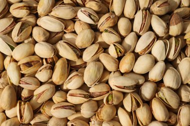 Pistachios, hafif arka planda, üst manzara.