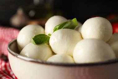 Mozzarella peyniri, lezzetli süt ürünleri kavramı.