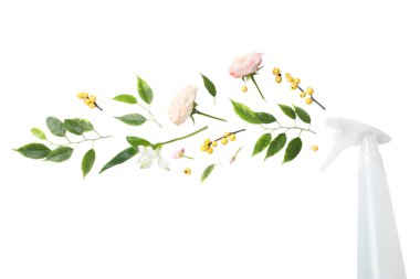 Bahar temizliği, sprey şişesi ve çiçekler, beyaz arka planda izole edilmiş, PNG