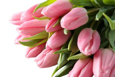 8 Mart, Uluslararası Kadınlar Günü, bir buket pembe lale, yakın plan, beyaz arka plan, PNG