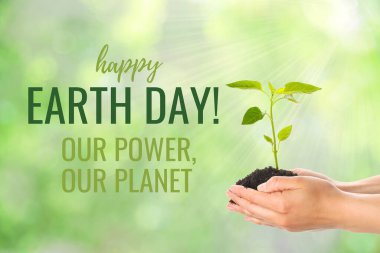 Dünya Günü, yeşil arka planda yeşil filizler, metin ile