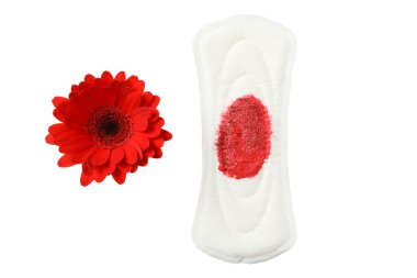Kadınsı hijyen ve regl, kırmızı çiçekle gösterilen kadın hijyen ürünleri, beyaz üzerine izole edilmiş, PNG