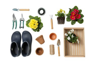 Bahçecilik araçları, çiçekler ve saksılar düzenli bir şekilde bir çalışma alanına yerleştirilir, beyaz üzerine izole edilmiş, PNG