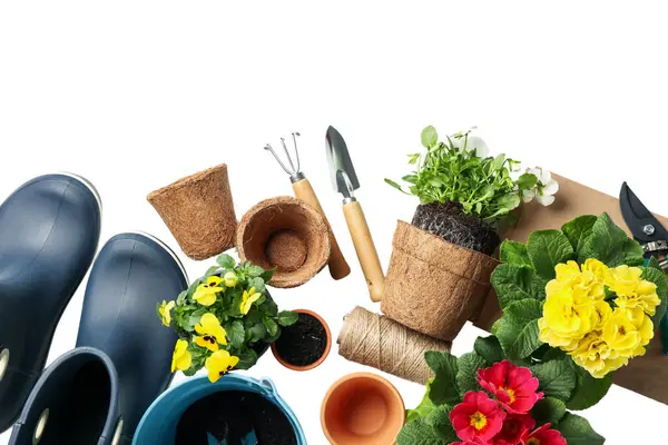 Yaratıcı bir alana yerleştirilmiş aletleri, tencereleri ve renkli çiçekleri olan bahçe aktiviteleri, beyaz üzerine izole edilmiş, PNG