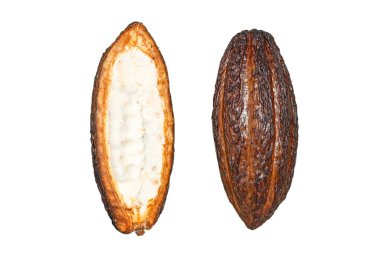 Kahverengi dış yüzeyi ve kremsi beyaz iç yüzeyi olan kakao kabuğu doğal dokusunu bembeyaz, PNG izole edilmiş olarak sergiliyor.