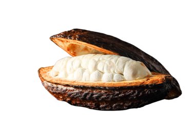 Kakao kapsülü kesiği kremalı hamuru ortaya çıkarıyor. Çikolata üretimi ve aşçılık kullanımına hazır. Beyazda izole edilmiş.
